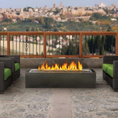 Napoleon Outdoor Heaters Campfire GPFL48MHP IMAGE 1