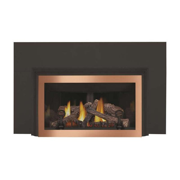 Napoleon Built-in Gas Fireplace GDIZC-N IMAGE 1