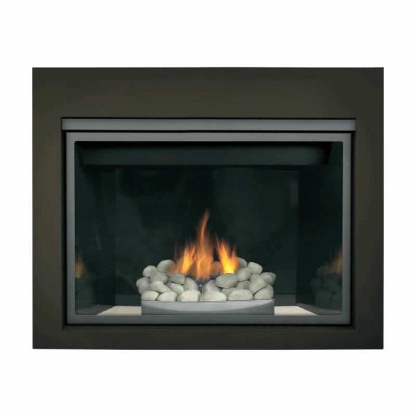 Napoleon Freestanding Gas Fireplace HDX40NT-1 IMAGE 1