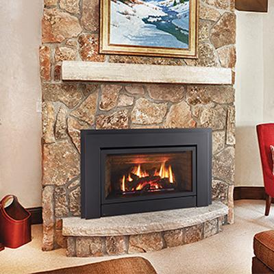 Regency Fireplace Products Gas Fireplace Insert E33-NG10 IMAGE 1