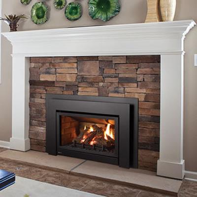 Regency Fireplace Products Gas Fireplace Insert U31-NG10 IMAGE 1