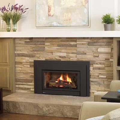 Regency Fireplace Products Gas Fireplace Insert U32-NG10 IMAGE 1