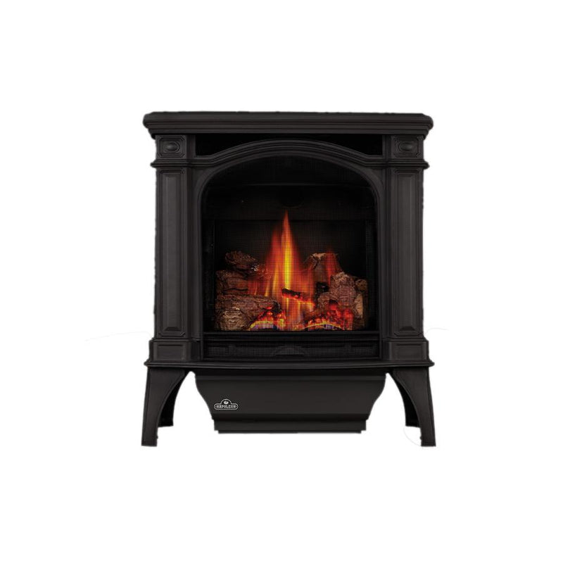 Napoleon Fireplaces Natural Gas or Propane GDS25 IMAGE 1