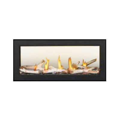 Napoleon Acies Built-in Gas Fireplace L38N2 IMAGE 1