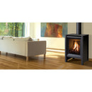 Enviro S20 Freestanding Natural Gas Fireplace S20 Gas Freestanding Stove IMAGE 2