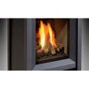 Enviro S20 Freestanding Natural Gas Fireplace S20 Gas Freestanding Stove IMAGE 4
