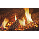  Enviro Westport Steel Freestanding Natural Gas Fireplace Westport Steel Gas Freestanding Stove IMAGE 3