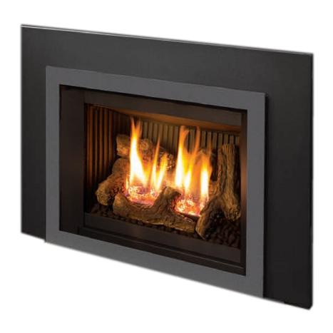 Enviro E20 Gas Fireplace Insert E20 Gas Fireplace Insert IMAGE 1