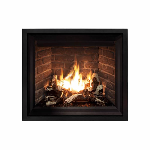 Enviro G39 Inserts Natural Gas Fireplace G39 Gas Fireplace IMAGE 1