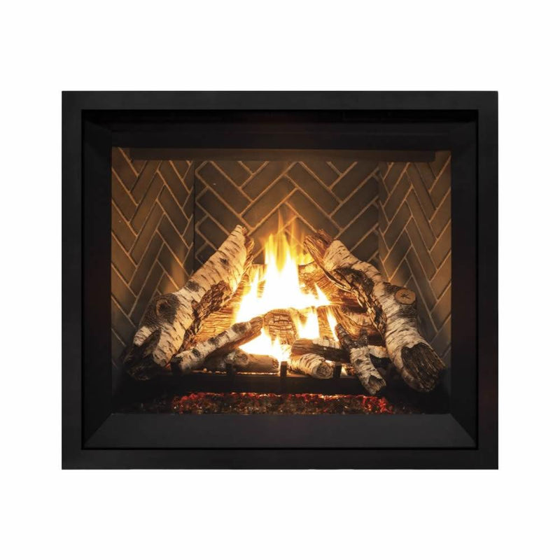 Enviro G42 Inserts Natural Gas Fireplace G42 Gas Fireplace IMAGE 1