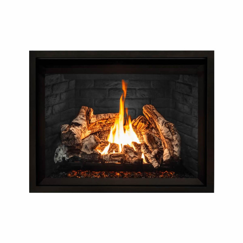 Enviro G50 Inserts Natural Gas Fireplace G50 Gas Fireplace IMAGE 1