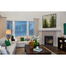 Napoleon Altitude™ 36 Direct Vent Fireplace, Natural Gas, Electronic Ignition A36NTE IMAGE 2