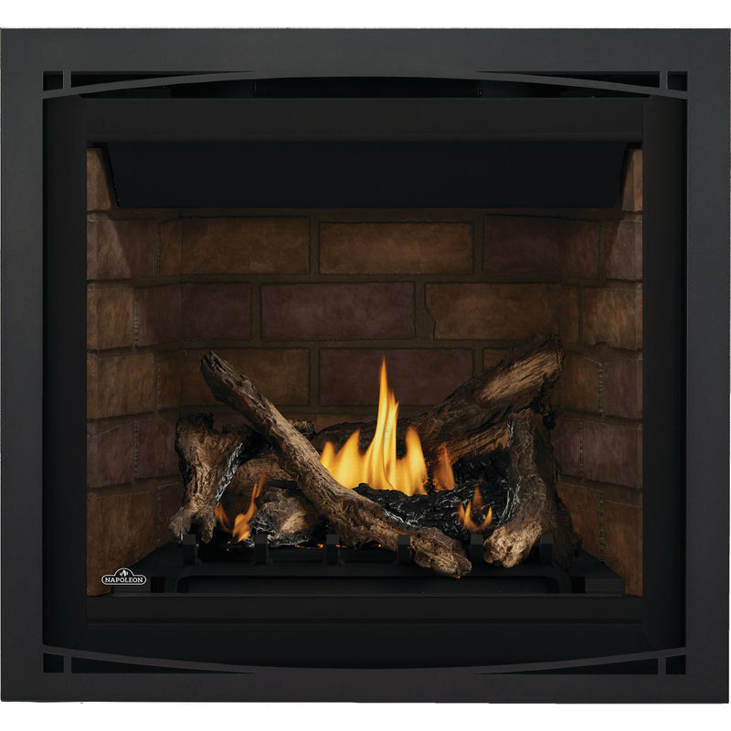 Napoleon Altitude™ 36 Direct Vent Fireplace, Natural Gas, Electronic Ignition A36NTE IMAGE 5