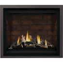 Napoleon Altitude™ X 42 Direct Vent Gas Fireplace, Natural Gas, Electronic Ignition AX42NTE-1 IMAGE 5
