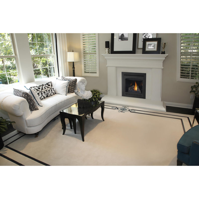 Napoleon Ascent™ 30 Direct Vent Fireplace, Natural Gas, Electronic Ignition B30NTRE-1 IMAGE 5