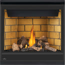 Napoleon Ascent™ 36 Direct Vent Fireplace, Propane, Electronic Ignition B36PTRE-1 IMAGE 4