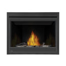 Napoleon Ascent™ 42 Direct Vent Fireplace, Propane, Electronic Ignition B42PTRE IMAGE 11