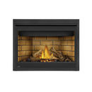 Napoleon Ascent™ 46 Direct Vent Fireplace, Natural Gas, Electronic Ignition B46NTRE IMAGE 13