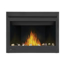 Napoleon Ascent™ 46 Direct Vent Fireplace, Natural Gas, Electronic Ignition B46NTRE IMAGE 4