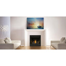 Napoleon Ascent™ 46 Direct Vent Fireplace, Natural Gas, Electronic Ignition B46NTRE IMAGE 9