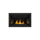 Napoleon Ascent™ Linear 36 Direct Vent Fireplace, Natural Gas, Electronic Ignition BL36NTE-2 IMAGE 1