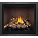 Napoleon Elevation™ 36 Direct Vent Fireplace, Natural Gas, Electronic Ignition E36NTE IMAGE 7