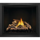 Napoleon Elevation™ 42 Direct Vent Fireplace, Propane, Electronic Ignition E42PTE IMAGE 5