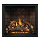 Napoleon Elevation™ X 36 Direct Vent Fireplace, Propane, Electronic Ignition EX36PTEL IMAGE 1