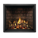Napoleon Elevation™ X 42 Direct Vent Fireplace, Natural Gas, Electronic Ignition EX42NTEL IMAGE 1