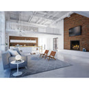 Napoleon Elevation™ X 42 Direct Vent Fireplace, Natural Gas, Electronic Ignition EX42NTEL IMAGE 2