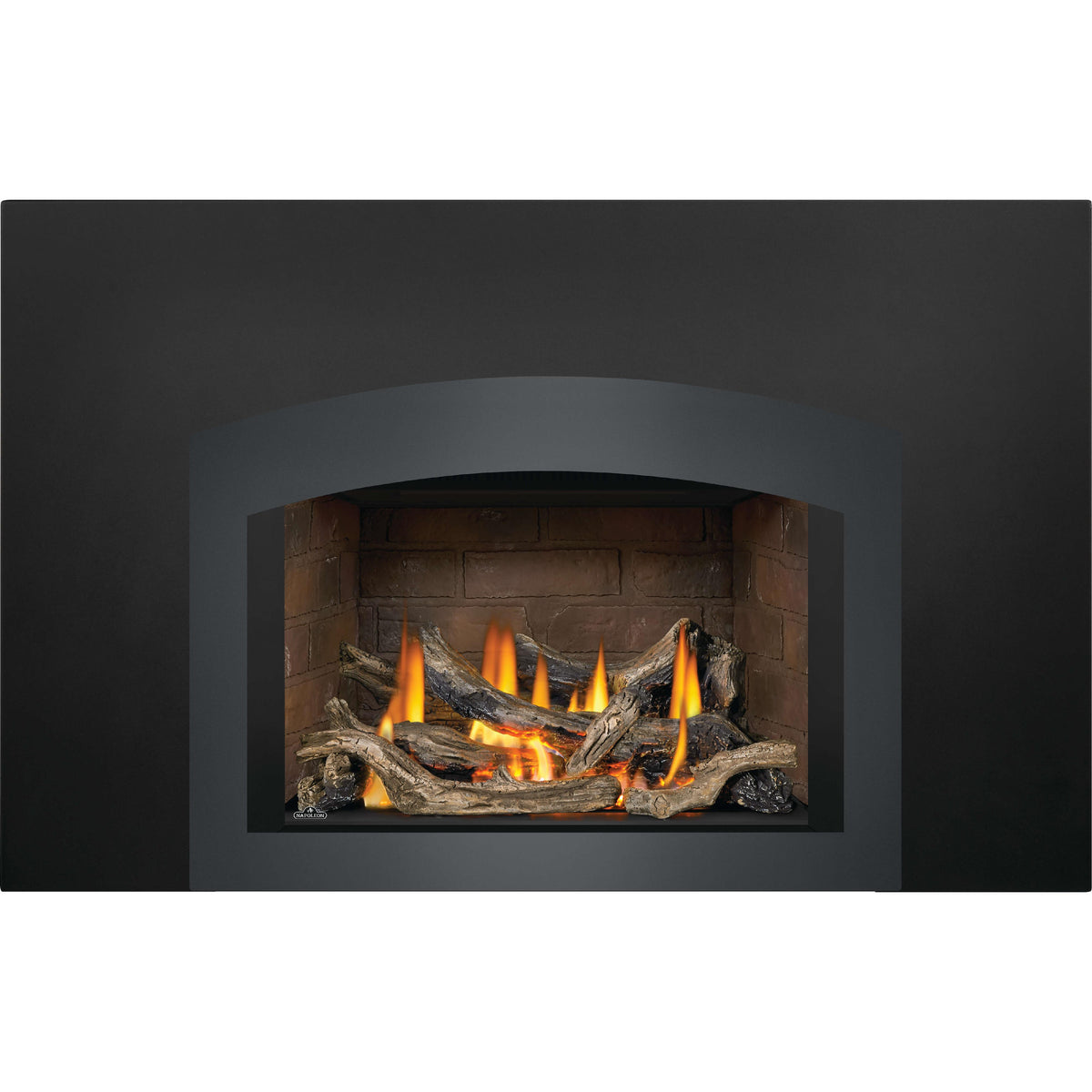 Napoleon Oakville™ X3 Natural Gas Fireplace GDIX3N-1