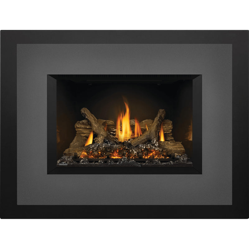 Napoleon Oakville™ X3 Gas Fireplace Insert, Natural Gas, Electronic Ignition GDIX3N-1 IMAGE 2