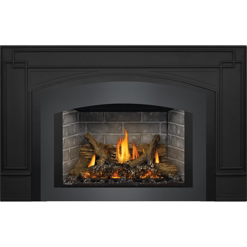 Napoleon Oakville™ X3 Gas Fireplace Insert, Natural Gas, Electronic Ignition GDIX3N-1 IMAGE 4