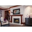 Napoleon Oakville™ X3 Gas Fireplace Insert, Natural Gas, Electronic Ignition GDIX3N-1 IMAGE 9
