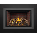 Napoleon Oakville™ X4 Gas Fireplace Insert, Natural Gas, Electronic Ignition GDIX4N-1 IMAGE 11