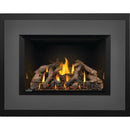 Napoleon Oakville™ X4 Gas Fireplace Insert, Natural Gas, Electronic Ignition GDIX4N-1 IMAGE 1