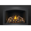 Napoleon Oakville™ X4 Gas Fireplace Insert, Natural Gas, Electronic Ignition GDIX4N-1 IMAGE 2