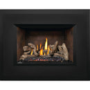 Napoleon Oakville™ X4 Gas Fireplace Insert, Natural Gas, Electronic Ignition GDIX4N-1 IMAGE 5