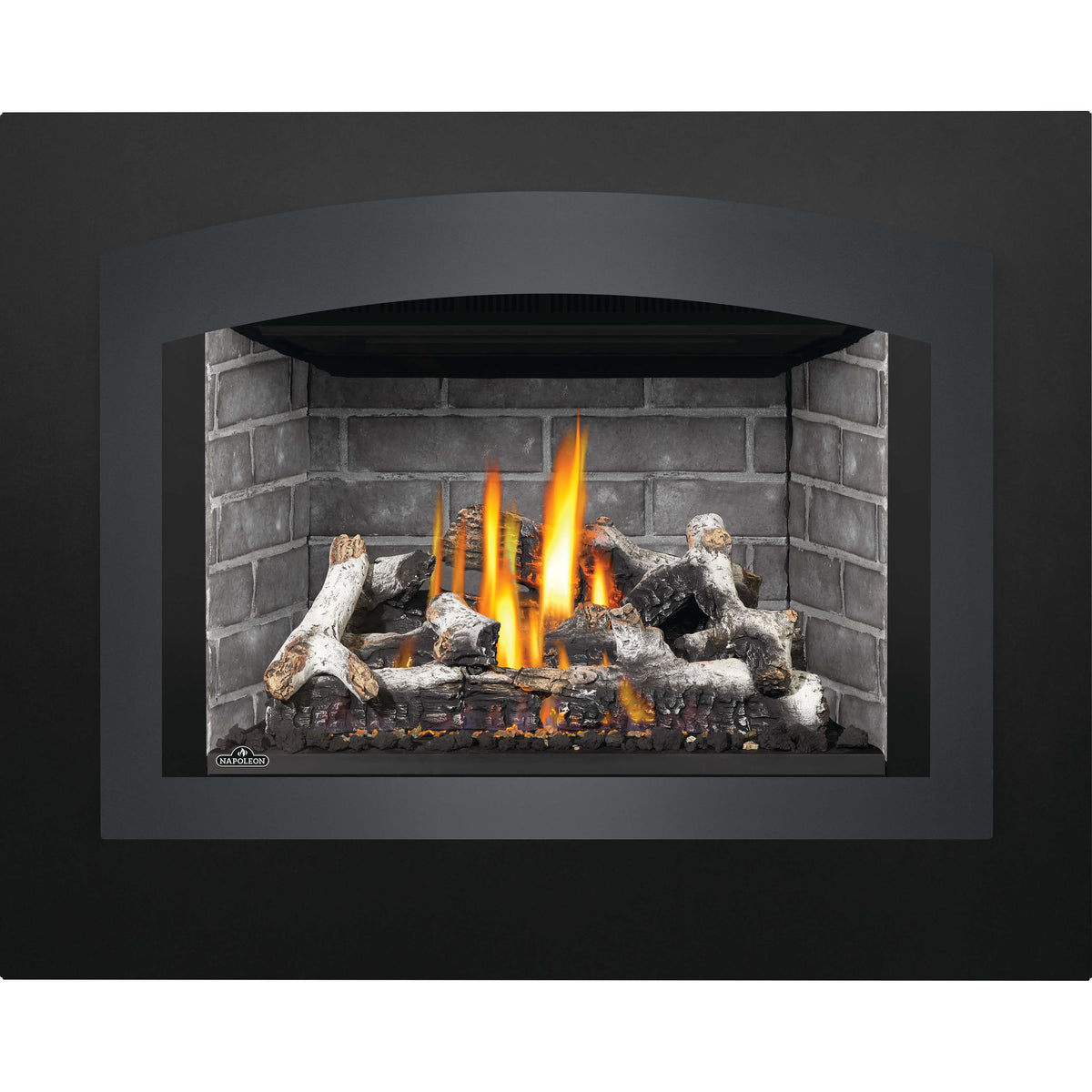 Napoleon Oakville™ X4 Natural Gas Fireplace GDIX4N-1