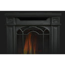 Napoleon Arlington™ Direct Vent Stove, Natural Gas, Electronic Ignition - Black GDS20NE IMAGE 2