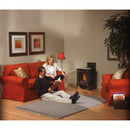 Napoleon Arlington™ Direct Vent Stove, Natural Gas, Electronic Ignition - Majolica Brown GDS20NNE IMAGE 2