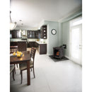 Napoleon Bayfield™ Direct Vent Stove, Natural Gas, Electronic Ignition - Winter Frost GDS25NW-1 IMAGE 2