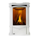 Napoleon Castlemore™ Direct Vent Stove, Natural Gas, Electronic Ignition - Winter Frost GDS26NW-1 IMAGE 1