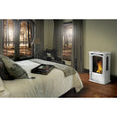 Napoleon Castlemore™ Direct Vent Stove, Natural Gas, Electronic Ignition - Winter Frost GDS26NW-1 IMAGE 4