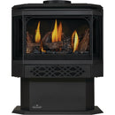 Napoleon Haliburton™ Direct Vent Stove, Natural Gas, Electronic Ignition GDS28-1NE IMAGE 1