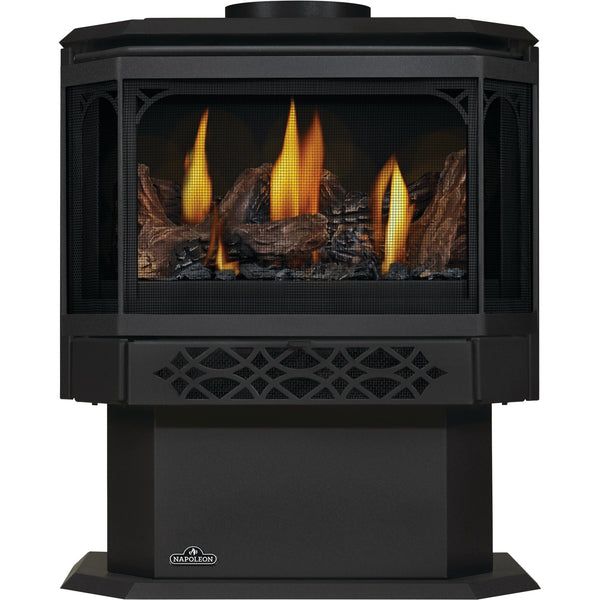 Napoleon Haliburton™ Direct Vent Stove, Natural Gas, Electronic Ignition GDS28-1NE IMAGE 1