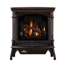 Napoleon Knightsbridge™ Direct Vent Stove, Natural Gas, Electronic Ignition - Majolica Brown GDS60-1NNSB IMAGE 1