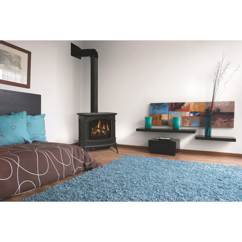 Napoleon Knightsbridge™ Direct Vent Stove, Natural Gas, Electronic Ignition - Majolica Brown GDS60-1NNSB IMAGE 3