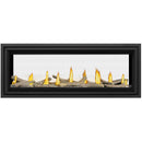 Napoleon Vector™ 50 See Through Direct Vent Fireplace, Natural Gas, Electronic Ignition LV50N2-2 IMAGE 4