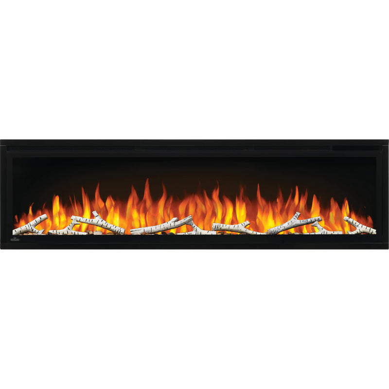 Napoleon Birch Log Kit with Rocks for Entice™ 60 NEF-BLRAK60 IMAGE 3